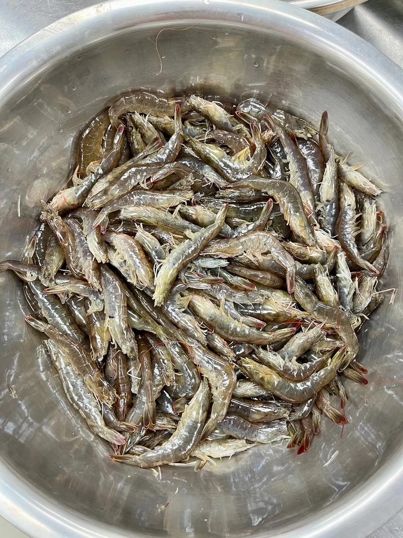 杭州月子餐配送到家.食材当日采购专业厨师每顿现做 欢迎大