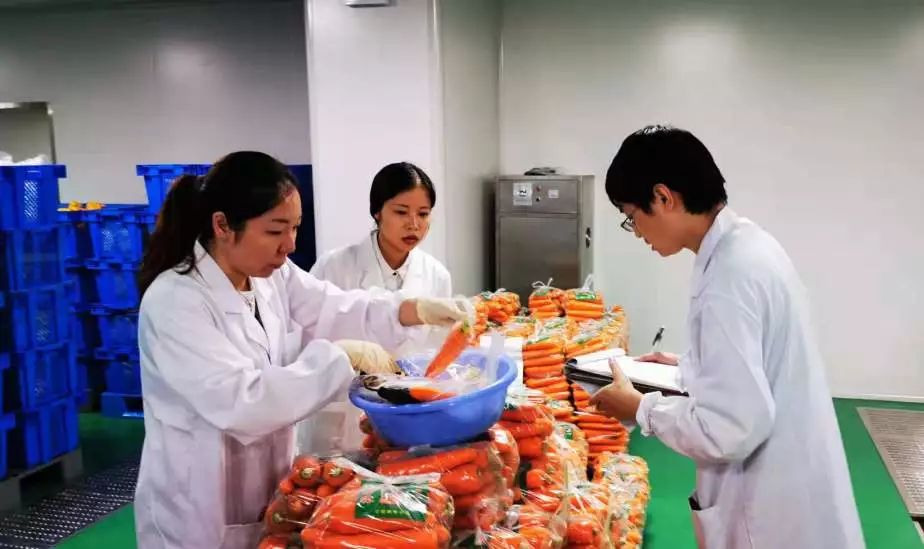 今天,我市学校食材集中配送全面&ldquo;试运行&rdquo;!