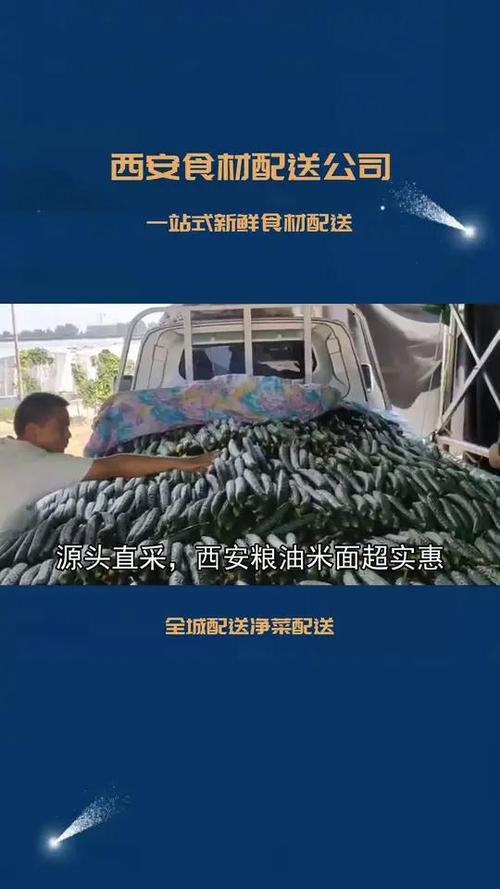 西安食材供应新生态,满足您对食材的所有期待,怎样让食材采购全程无忧