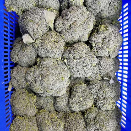 工厂餐饮配送